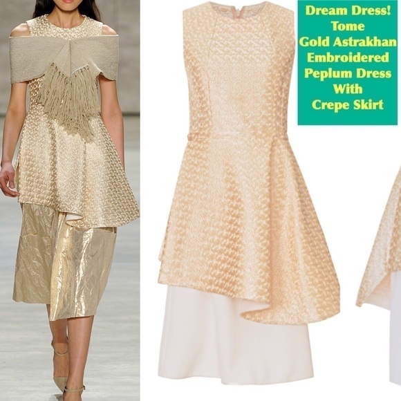 𝅺Just Added! Tome Astrakhan Embroidered Dress